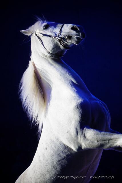 .....das Glück der Erde...mit Marek Jama