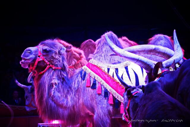 ....und los ging's..