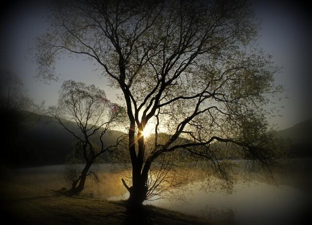 Morgens, wenn der Tag erwacht am Diemelsee
