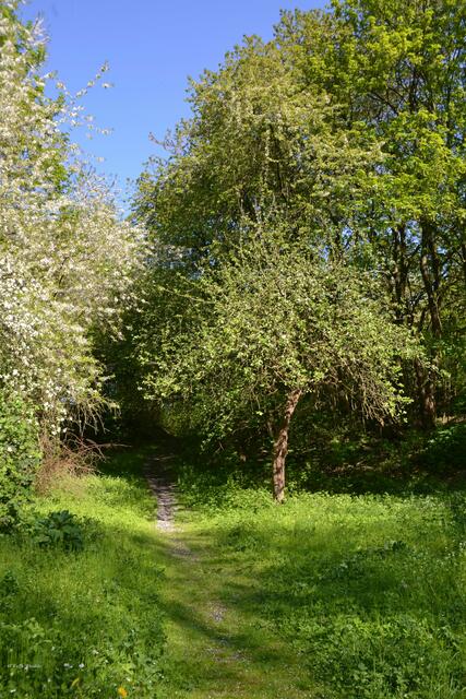 In der Ruhezone des Willy-Spahn-Parks (Foto: Katja Woidtke)