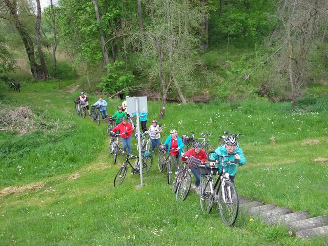 der Aufgang zum Radweg auf dem Donaudamm