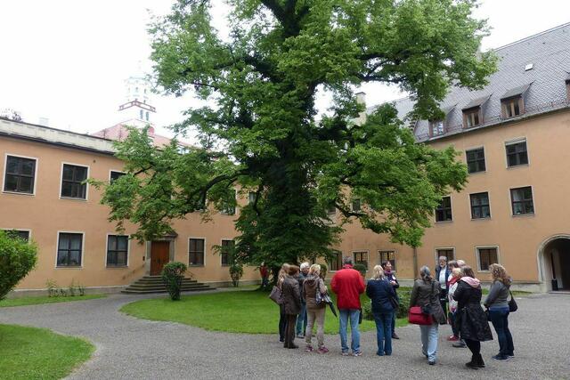 ein toller Innenhof ..... mit einem uralten Baum - schätzungsweise 120 - 130 Jahre alt