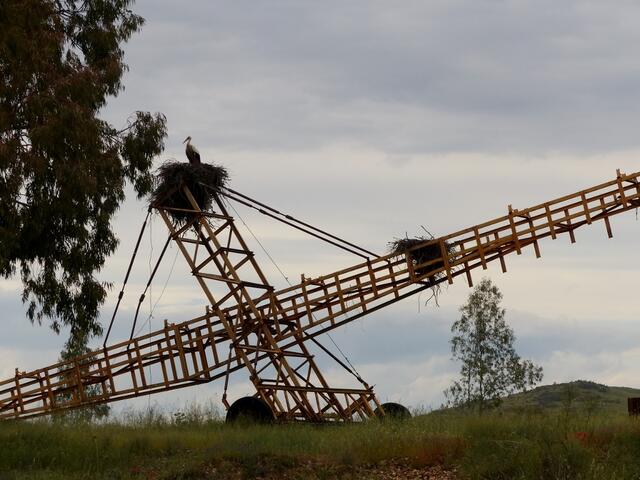 altes Förderband in einem Kies-Abbaugebiet