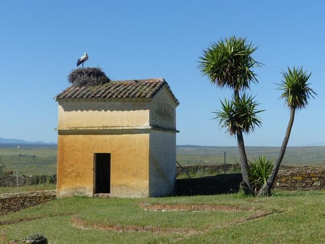 an einer Lodge, wie als "Lockvogel"