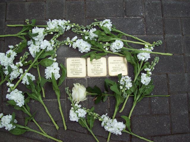 Die drei Stolpersteine der Familie Ransenberg und Stern.