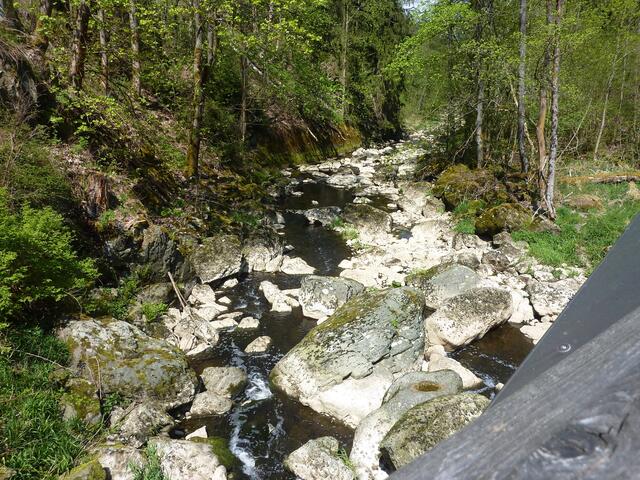 Blick von einer Brücke auf die Selbitz