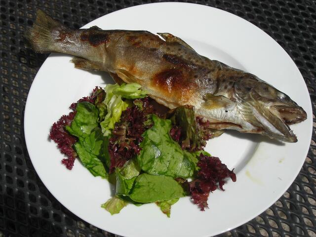 Steckerlfisch mit grünem Salat