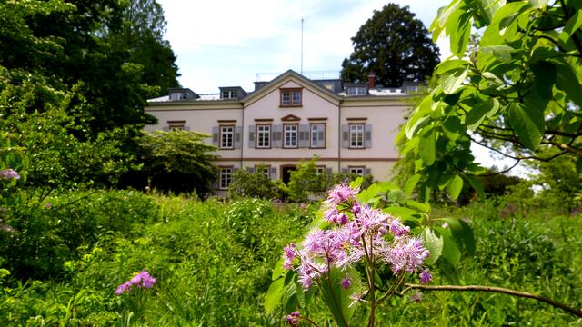 Das Konferenzhaus im Schau- und Sichtungsgarten Weinheim!
