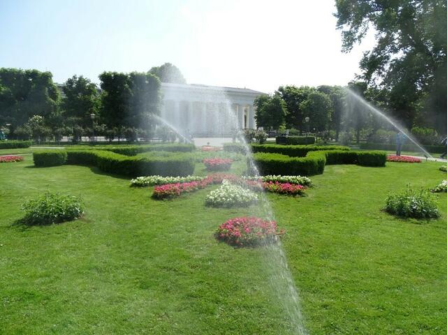 Rosenblüte Volksgarten Wien