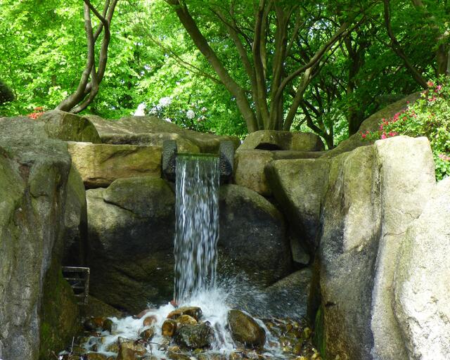 Auch hier am Wasserfall wurde fleißig "geknipst"!