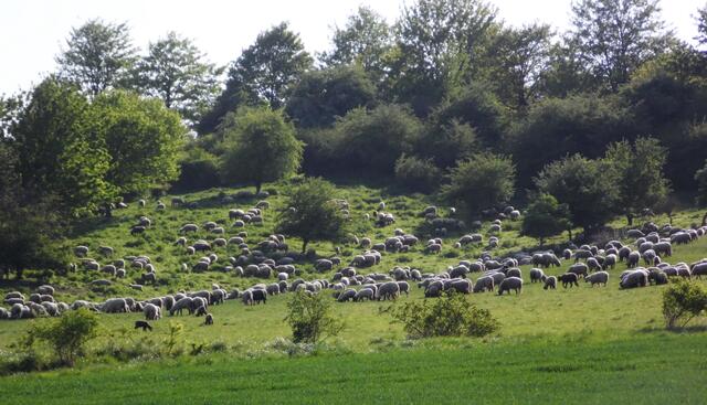 Am Naturgebiet Mastberg haben wir Hildesheim fast erreicht.