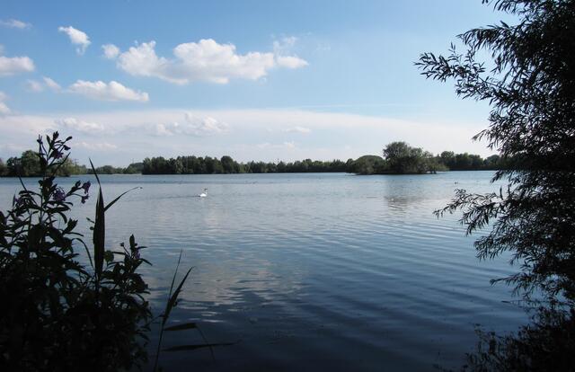 Der Große Koldinger See mit der Kormoraninsel.