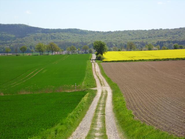 Durch Feld und Flur geht es nun einem anderen Ziel entgegen.