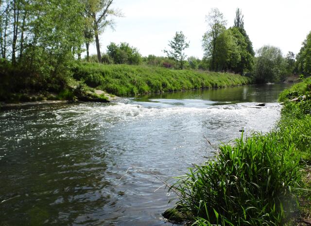 Ab Ruthe folgen wir der Innerste hinauf. Sie entspringt bei Buntenbock im Harz und fließt durch Hildesheim.