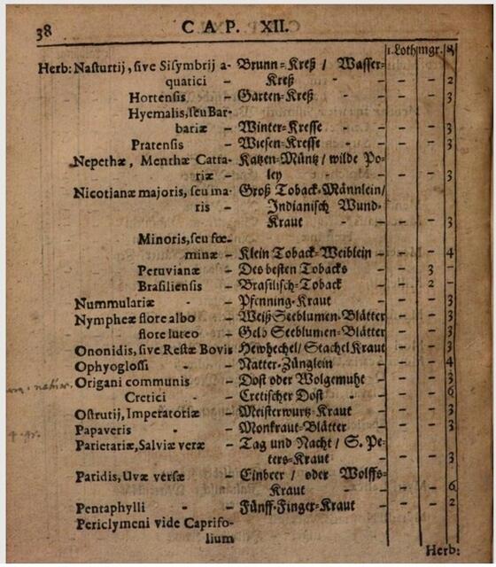 Auch Natter-Zünglein wurden laut dem „Verzeichniß und Tax aller Arzeneyen“ (1682, S. 38) in der Hof-Apotheke herausgegeben.