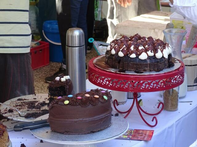 Südwind Straßenfest 2016 am 21. Mai im Alten AKH Wien