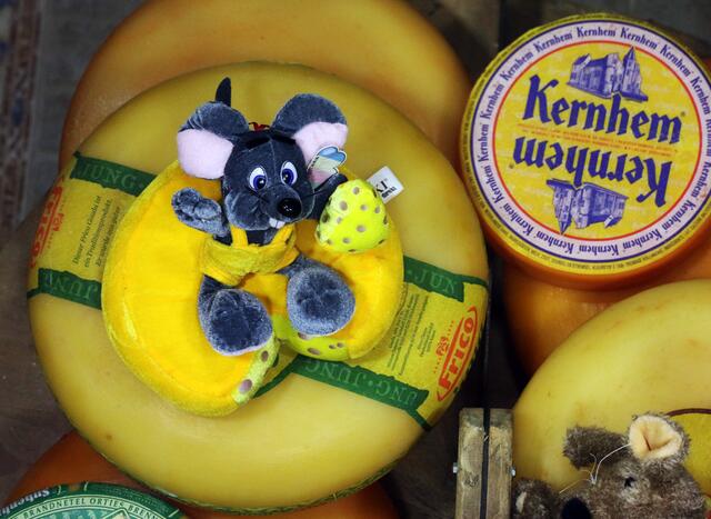 im European Cheese Center