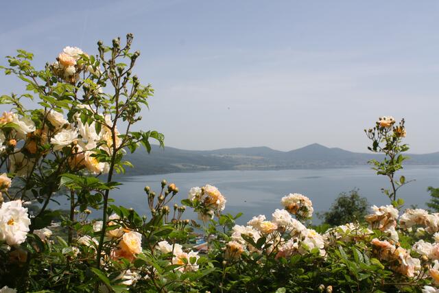 Blick auf den Braccianosee.