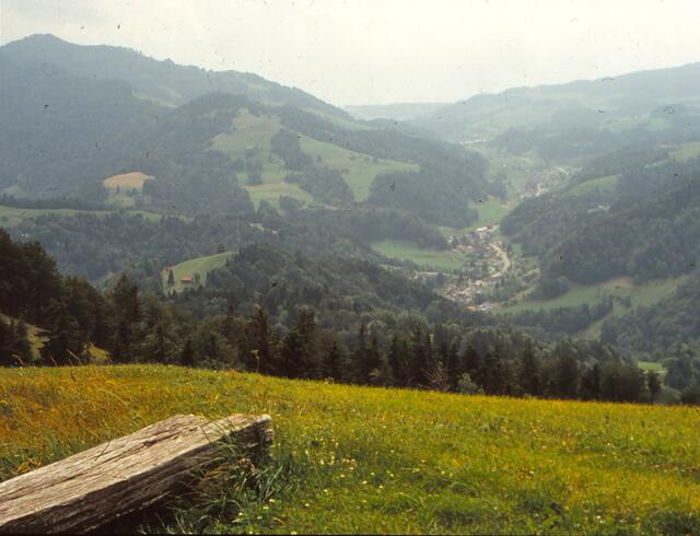 Vom Hörnli Blick ins Tösstal