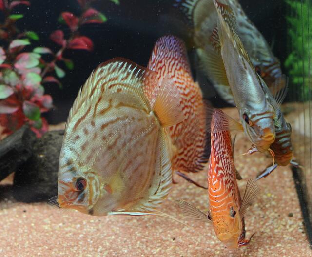 auch unter  (kein Regen- ) Wasser wurden wir nett begrüßt