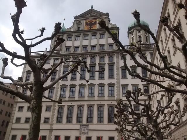 ein besserer Durchblick für uns auf die Rückseite des Rathauses - das Laub der Bäume war dafür entfernt worden (im Herbst schon)