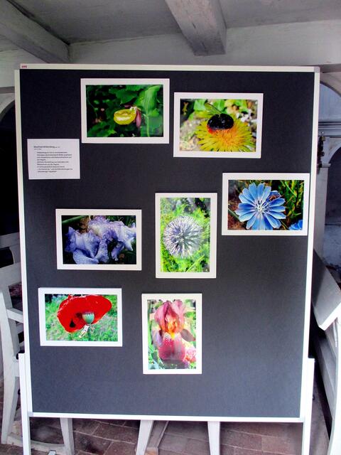 Meine Makros - Fotoausstellung 2016 zum Thema "Rund um die Natur" / Mai 2016 !