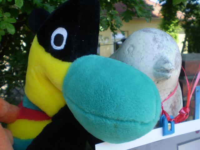 5. Juni 2016: Bremer Aktion für Kinder