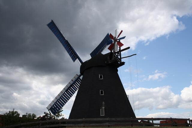 Windmühle "Paula" in Steinhude - Mühlentag 2016