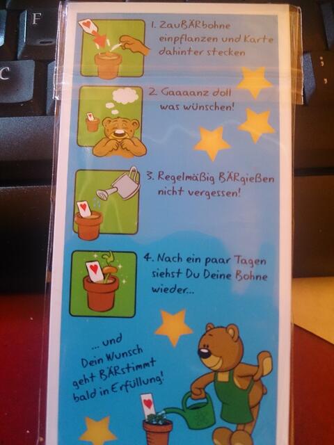 Auch eine Schritt-für-Schritt-Anleitung war dabei! ;-)