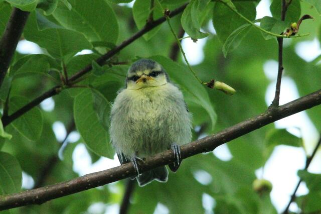 Am Tag nach dem Auszug...