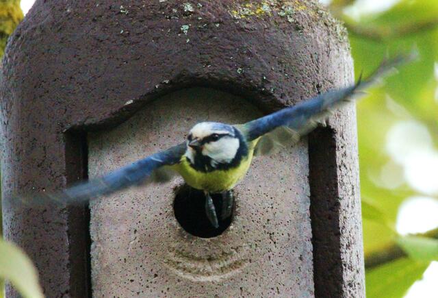 ... und ausgebreitet