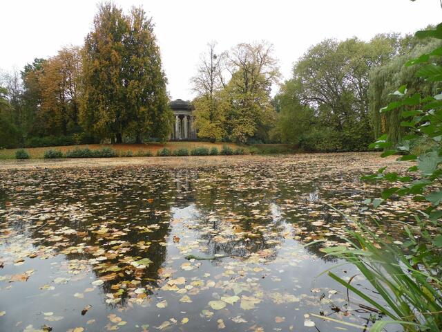 Es wird Herbst im Georgengarten.