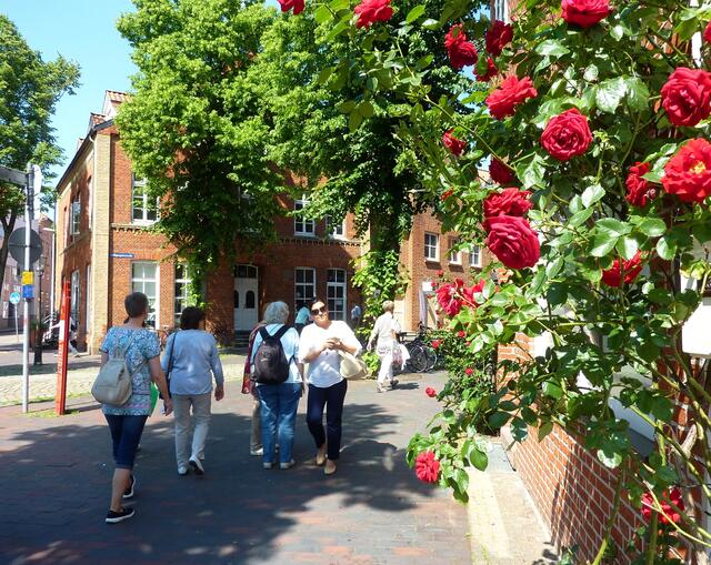 Vom Salzmuseum (dort durfte leider nicht fotografiert werden) ging es an roten Rosen vorbei zurück in die Altstadt.