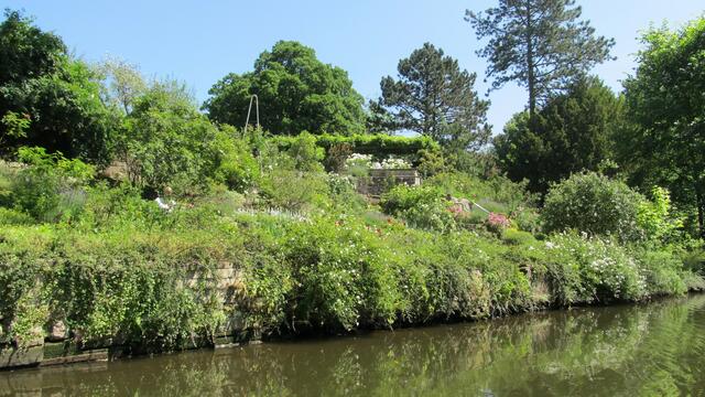 der Rosengarten des Botanischen Gartens