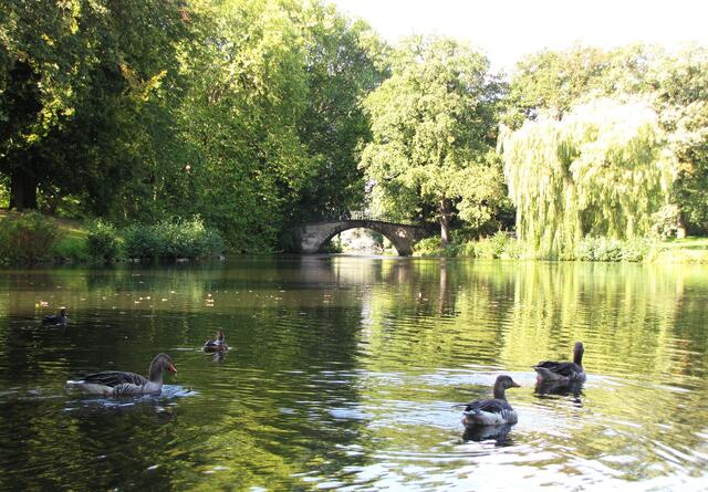 Auch ließ er einen großen  Park anlegen. Sumpfiges Maschgelände wurde in Teiche und Kanäle umgewandelt. Es entanden weite Wiesenflächen mit lockeren Gehölzgruppen.