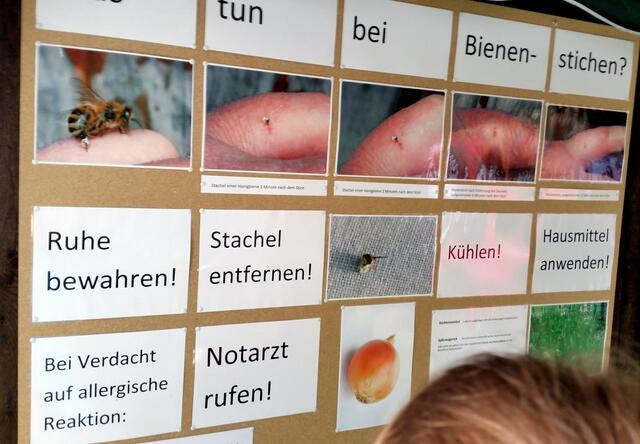 Auch gut zu wissen