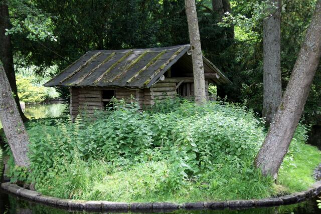 Auf der Insel des Kurparkteiches wachsen inzwischen die Brennnesseln meterhoch.