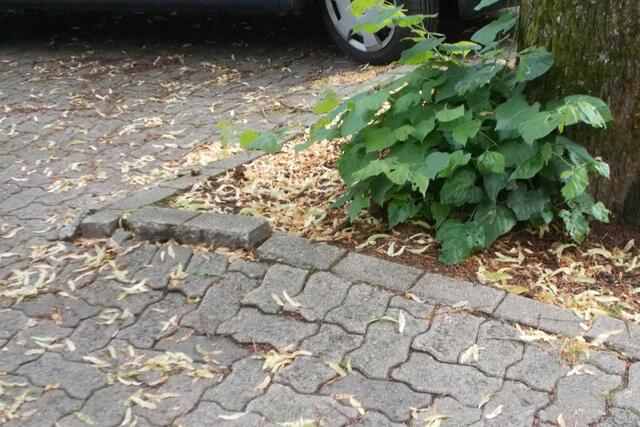 Unfallgefahr an einer Baumscheibe am Parkplatz Schulstraße