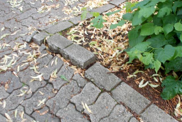 Unfallgefahr an einer Baumscheibe am Parkplatz Schulstraße