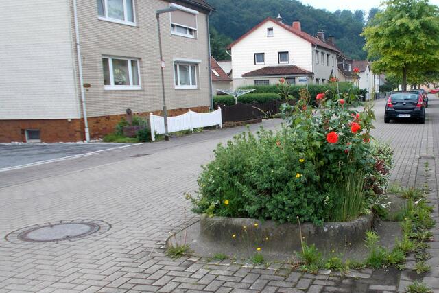 Bevor man Aufrufe startet, so die Meinung von Aue-Anliegern, sollte man einmal vor der eigenen Haustür Hand anlegen.