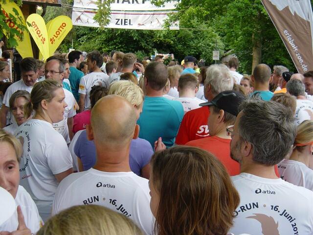 Startaufstellung Zoo-Run – long (6 – 8 km). Das Starterfeld vor dem Berichterstatter …