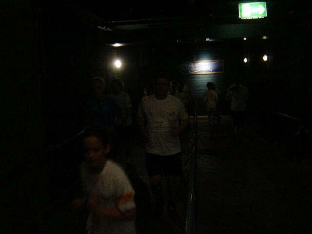 Durch die Unterwelt des Yukon Bays gelangt man …