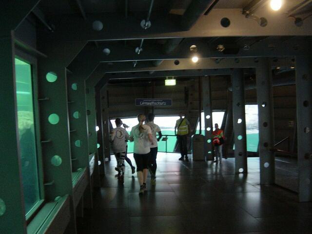 … zu den Wasserbecken (zu später Stunde ohne Tiere).