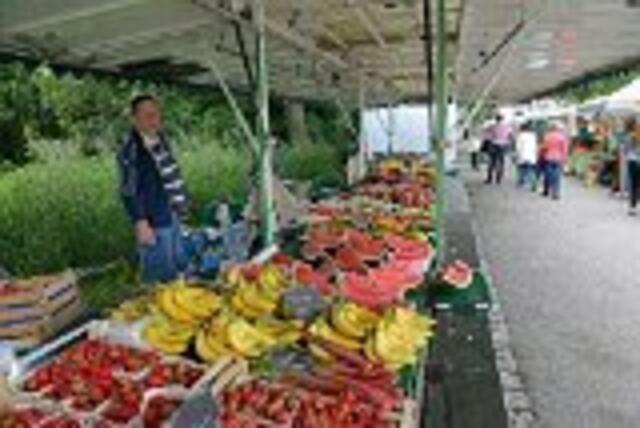 Obst und Gemüse | Foto: Anton Fasching
