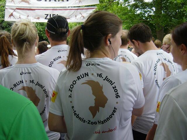 Startaufstellung Zoo Run – shorty (2 – 4 km).