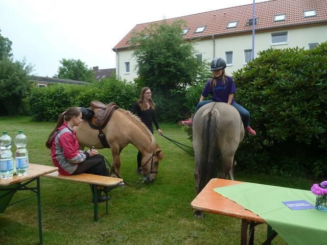 Die Pferde warteten schon auf die kleinen Reiter.