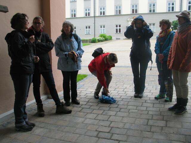 Trotz des Regens machten wir uns auf zur Kräuterwanderung rund um Kloster Holzen.