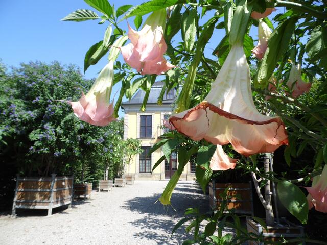 ...hatte sie einen wundervollen Blick auf die Gartenanlagen.