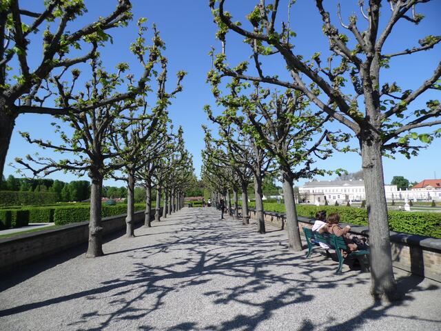 Von der Aussichtsterrasse geht der Blick zur einen Seite auf das Große Paterre, zur anderen auf den Irrgarten.