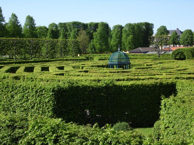 Die Hainbuchenhecken des Irrgartens sind 500 Meter lang. Im ganzen Garten müssen jährlich 15 Kilometer Hainbuchenhecken geradlinig beschnitten werden.